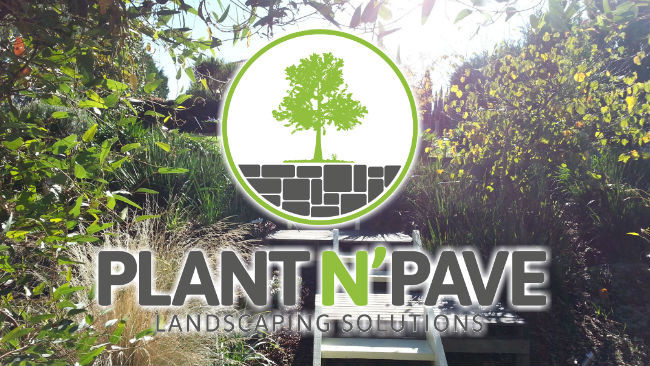 Plant N' Pave - Melbourne Landscaping Pic 1