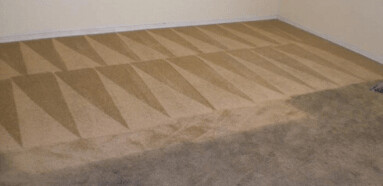 Carpet Cleaning Gungahlin Pic 1