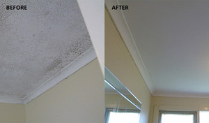 Mould Doctor Pic 3 - Mould Removal Adelaide