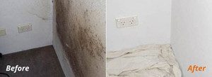 Mould Doctor Pic 5 - Mould Removal Adelaide