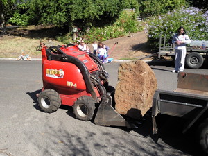 Dingo Dan Pic 2 - landscaping rock placement