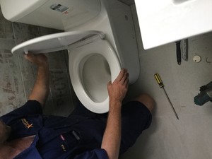 Reef City Plumbing Pty Ltd Pic 5 - Repairs andor installation of toilets