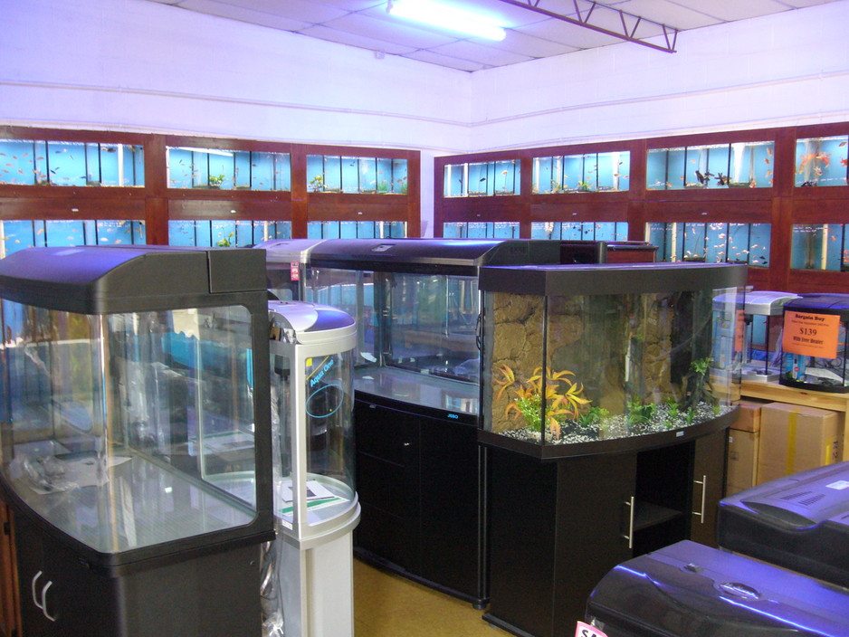 Pure Aquarium Pic 1