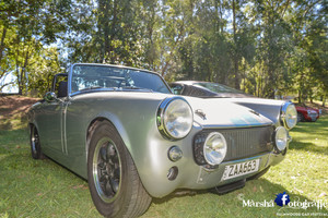 Palmwoods Car Festival Pic 4