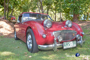 Palmwoods Car Festival Pic 3