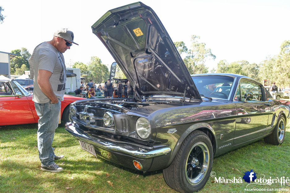 Palmwoods Car Festival Pic 1