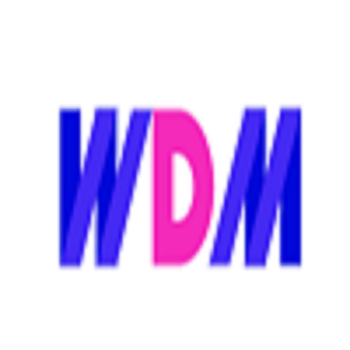 WDM Digital & E-commerce Agency Pic 1