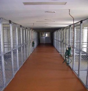 Midcoast Boarding Kennels & Cattery Pic 5