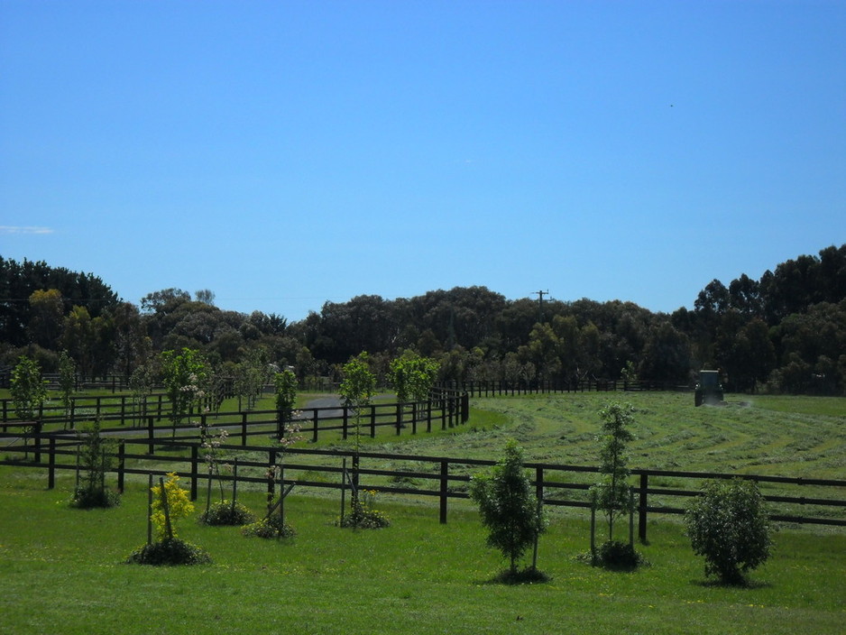 Bellarine Peninsula Thoroughbred Agistment Park Pic 1