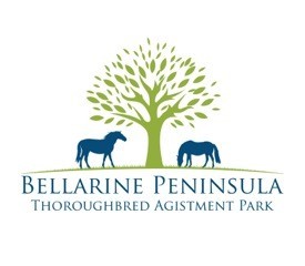 Bellarine Peninsula Thoroughbred Agistment Park Pic 2