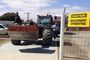 Two Wells Landscaping Yard Pic 3 - Accredited 30 Tonne weigh bridge