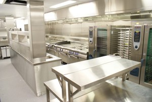 The Food Business Project Pic 3 - commercial kitchen equipment