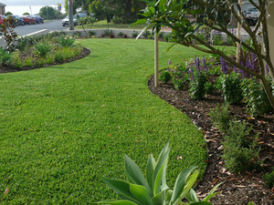 Spire Landscapes Pic 4 - Newly completed garden