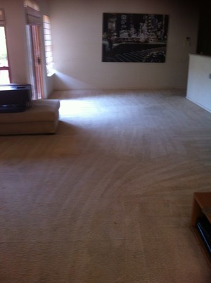 Focus Cleaning Pty Ltd Pic 3