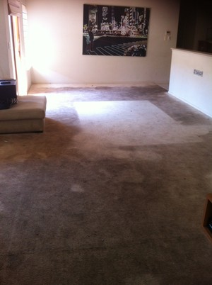 Focus Cleaning Pty Ltd Pic 2