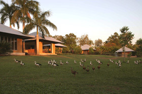 Feathers Sanctuary Pic 5 - Backpackers Resort