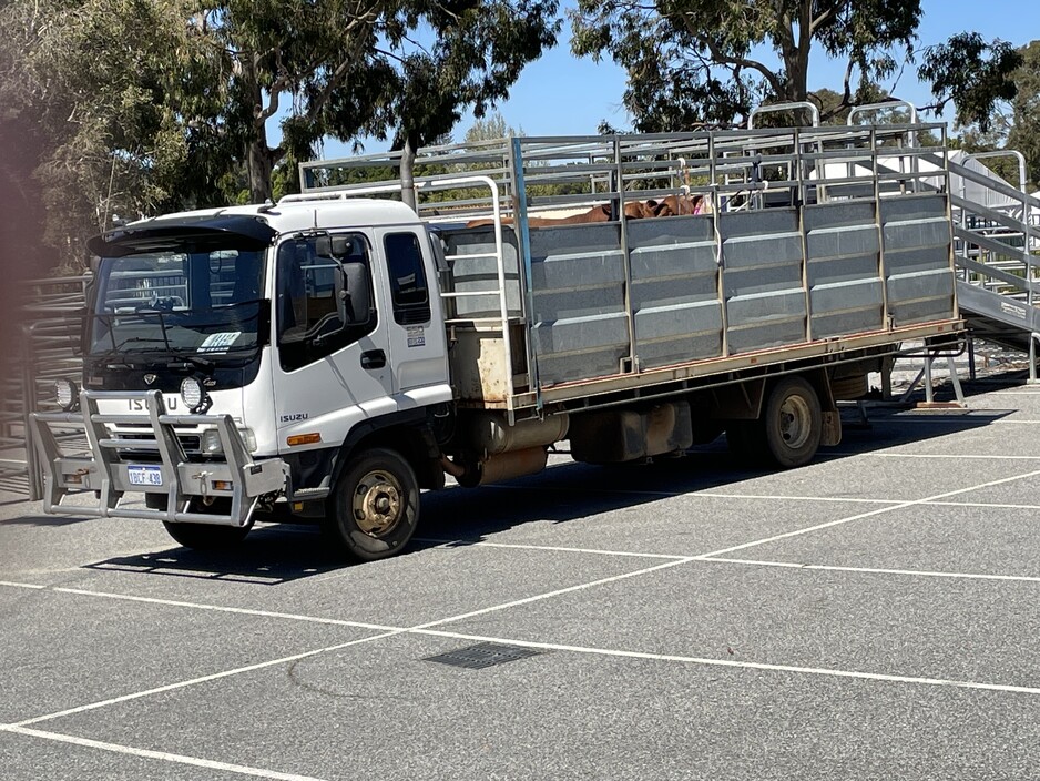 J.Argent Cartage Pic 1 - Load of show cattle