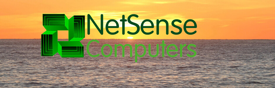 NetSense Computers Pic 1