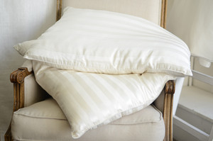 Deluxe Beds Pic 4 - 100 Mulberry Silk Pillows