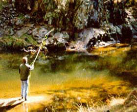 Markdale Homestead Pic 1 - Trout Fishing on the Lachlan