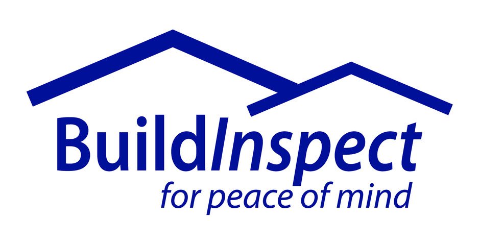 BuildInspect Pic 1