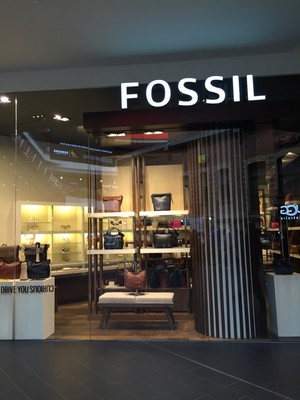 Fossil Pic 3