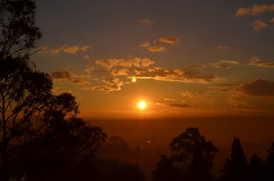 Paper Rose Photography Pic 3 - Landscape Photography