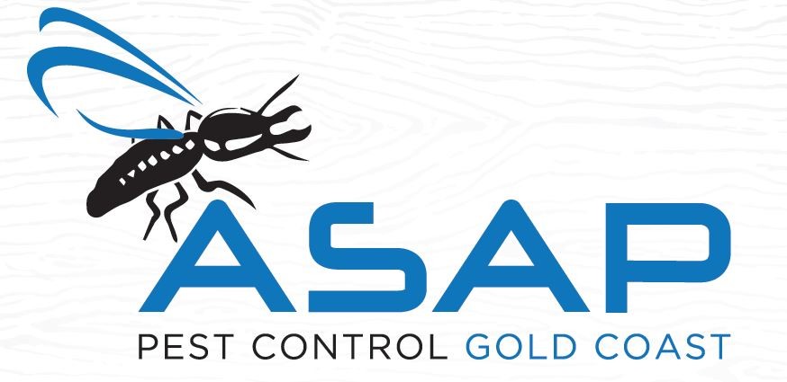 ASAP Pest Control - Gold Coast Pic 1