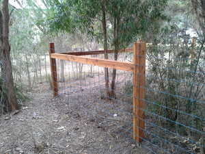 Don't Fence me in! Pic 4 - Cypress pine posts with waratah ringlock wire