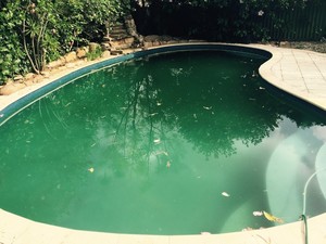 Express Pool Cleaning Pic 3 - Before