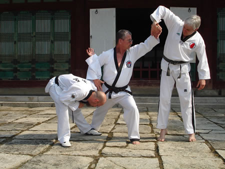 Brad Hope Tae Kwon Do Pic 1 - Korea visit 2008