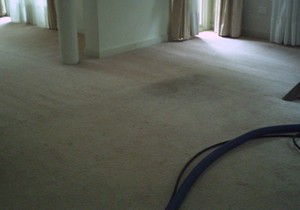 Derek Jeanneret Carpet Cleaning Northern Beaches Pic 3 - before