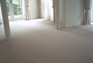 Derek Jeanneret Carpet Cleaning Northern Beaches Pic 5 - after