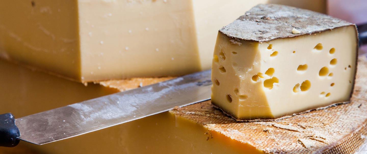 RUNAMUK ANGLONUBIAN GOATS in Mardella, WA, Dairy Products TrueLocal