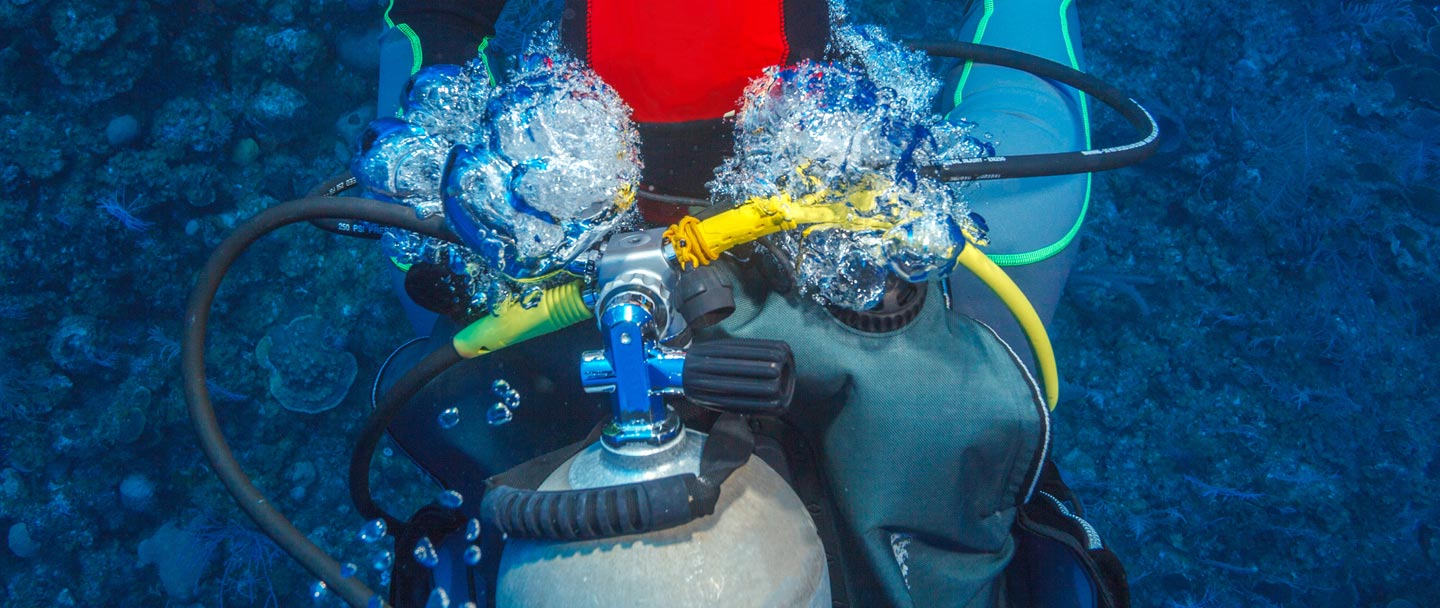 Sunreef Scuba Diving Services in Mooloolaba, QLD, Scuba Diving TrueLocal